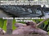 weiter