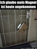 Magnet-wurde-geliefert.jpg auf www.funpot.net