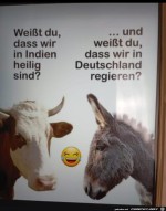 Gute-Fragen.jpg auf www.funpot.net