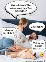 Du-bist-ein-Huhn.jpg auf www.funpot.net