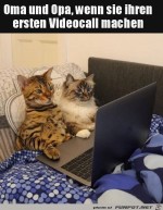 Erster-Videocall.jpg auf www.funpot.net