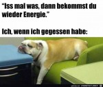 Energie-nach-dem-Essen.jpg auf www.funpot.net