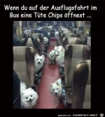 Da-guckt-jeder.jpg auf www.funpot.net