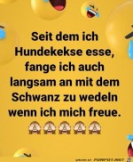 Hundekekse-essen.jpg auf www.funpot.net