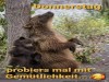 weiter