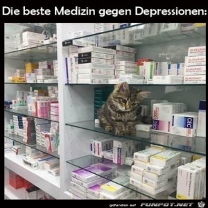 herz-Bild: Beste Medizin