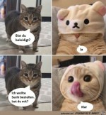 Katze-will-Sushi-bestellen.jpg auf www.funpot.net