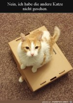 Ich-hab-keine-andere-Katze-gesehen.jpg auf www.funpot.net