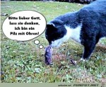Sie-kann-nur-beten.jpg auf www.funpot.net