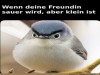 weiter