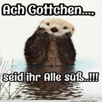 Flusselfe-auf-Kuschelmission!.jpg von Felia-51