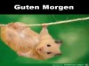 weiter