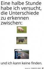 Keine-Unterschiede-feststellbar.jpg auf www.funpot.net