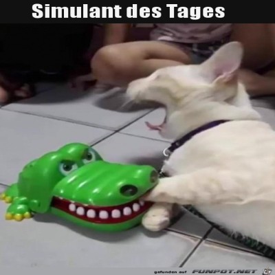 Simulant.jpg von Lina