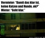 Es-ist-weder-eine-Katze-noch-ein-Hund.jpg auf www.funpot.net