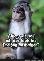 Wie-soll-ich-das-aushalten?.jpg auf www.funpot.net