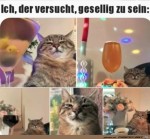 Der-Partykracher.jpg auf www.funpot.net