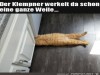 weiter