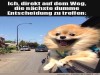 weiter