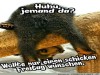 weiter