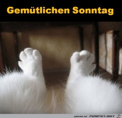 Sonntag.jpg auf www.funpot.net