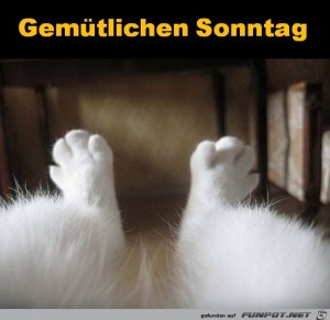 Begrüßungsbild