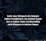 Die-Wimpern.jpg auf www.funpot.net