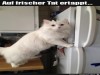 weiter