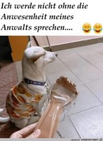 Ohne-meinen-Anwalt-sag-ich-nichts.jpg auf www.funpot.net