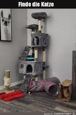Wo-ist-die-Katze?.jpg auf www.funpot.net