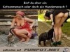 weiter