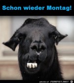 Wieder-Montag.jpg auf www.funpot.net