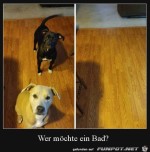 Wer-will-baden?.jpg auf www.funpot.net