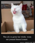 Das-wrde-jeder-mal-gerne-tun.jpg auf www.funpot.net