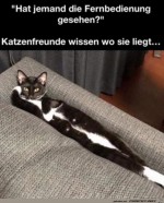 Wo-ist-die-Fernbedienung?.jpg auf www.funpot.net