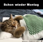 Montag.jpg auf www.funpot.net