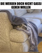 Gut-getarnt.jpg auf www.funpot.net