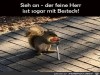 weiter