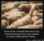 Wenn-du-im-Ausland-lebst.jpg auf www.funpot.net