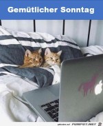 Gemtlicher-Sonntag.jpg auf www.funpot.net