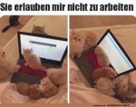 Heute-ist-arbeitsfrei.jpg auf www.funpot.net