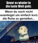 Noch-einen-Moment-der-Ruhe-genieen.jpg auf www.funpot.net