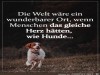 weiter
