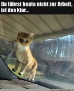 Heute-bleibst-du-da.jpg auf www.funpot.net