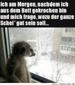 Ich-am-Morgen.jpg auf www.funpot.net
