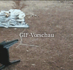Hund-hat-Jalousie-abgerissen.gif auf www.funpot.net