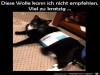 weiter