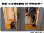 alle-wollen-Frhstck.jpg auf www.funpot.net