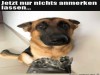 weiter