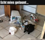 Mies-gelaunt.jpg auf www.funpot.net